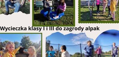 Wycieczka klasy 1 i 3 do zagrody alpak